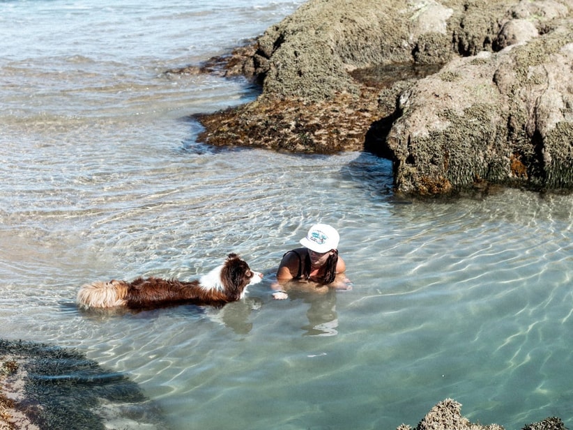 A woman in cap swimming with Border Collie in the ocean