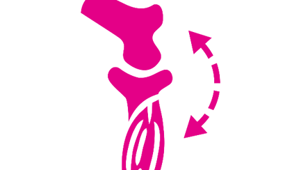 Agile joints icon