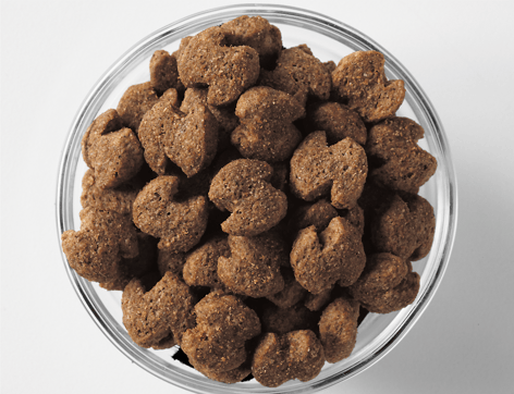 image imageseukanuba-kibble-adult-seni