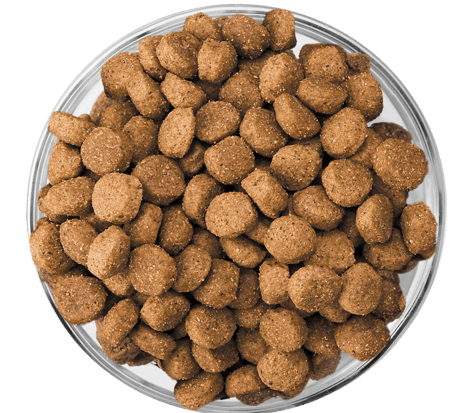 image imageseukanuba-kibble-bowl-puppy