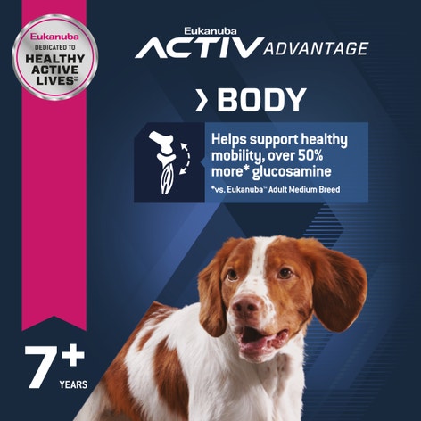 image Eukanuba%E2%84%A2%20Senior%20Medium%20Breed%20Dry%20Dog%20Food%203