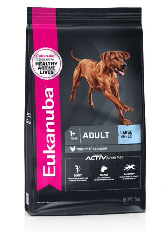 Adult Large Breed image 1