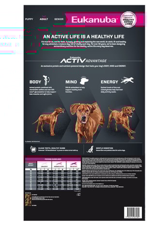 Adult Large Breed image 1