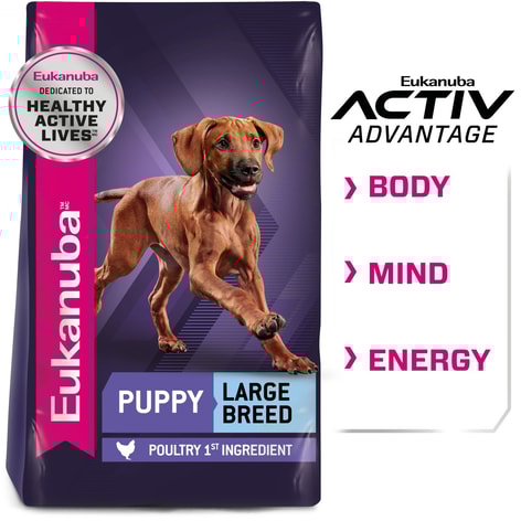 Eukanuba Puppy Large Breed image 1