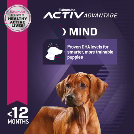 Eukanuba Puppy Large Breed image 1