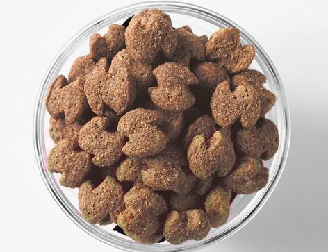 Eukanuba Senior Small Breed  image 1