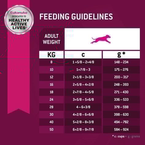 Premium Exercise 26/16 image 1