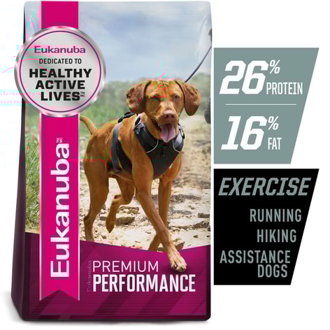 Premium Exercise 26/16 image 1
