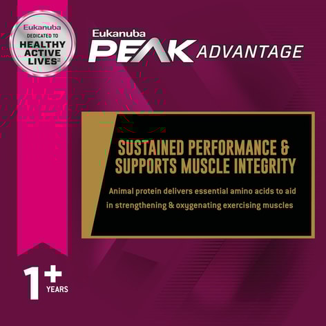Eukanuba Premium Performance 30/20 Sport image 1