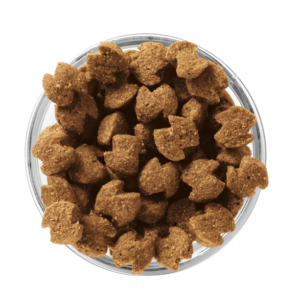 image imageseukanuba-kibble-bowl-adult-senior-fit-body-medium-breed