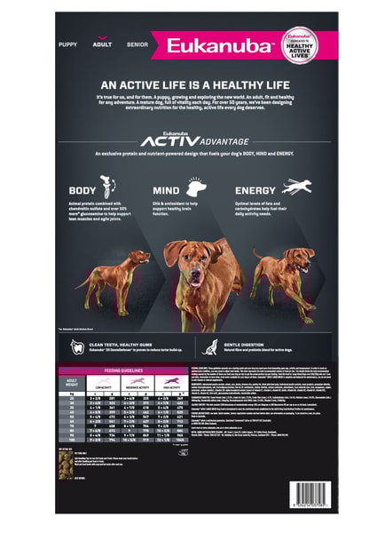 Adult Large Breed image 5