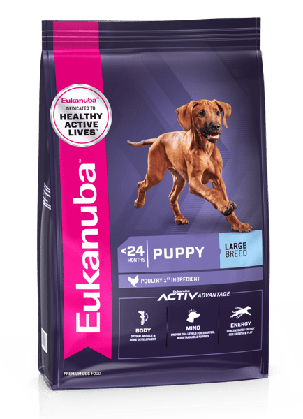 Eukanuba Puppy Large Breed image 1