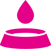 Bowl Icon